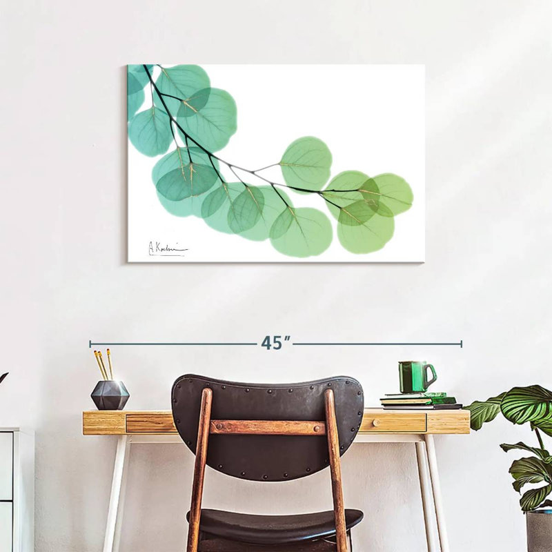 Harnek Golden Eucalyptus, 24" H x 36" W