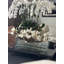 Stylish Glass Planter With White Magnolias