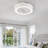Rumelange 22'' Ceiling Fan with LED Lights