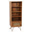 Chetram 1 Drawer Rattan SLim Bookshelf