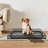 Dog Training Toilet With Pull-Out Tray