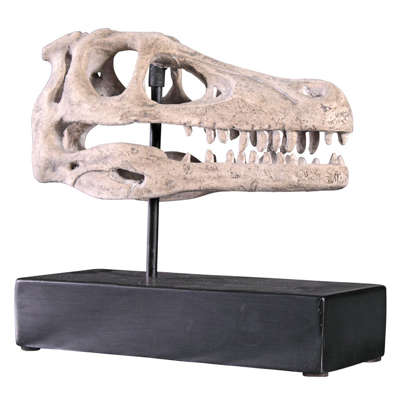 Velociraptor Dinosaur Skull Fossil Sculpture