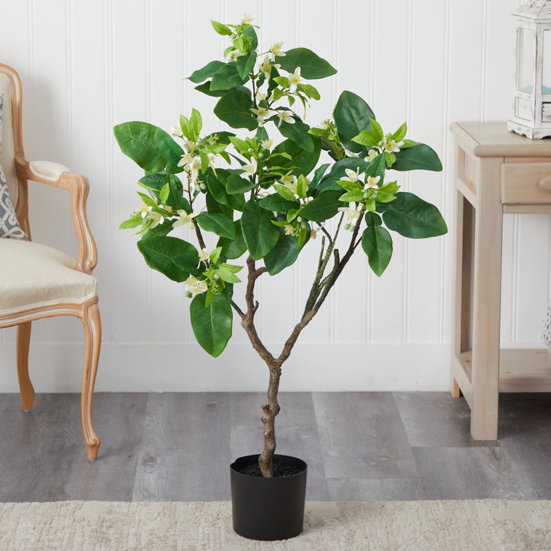 4 pi. Arbre artificiel fleur de pamplemousse