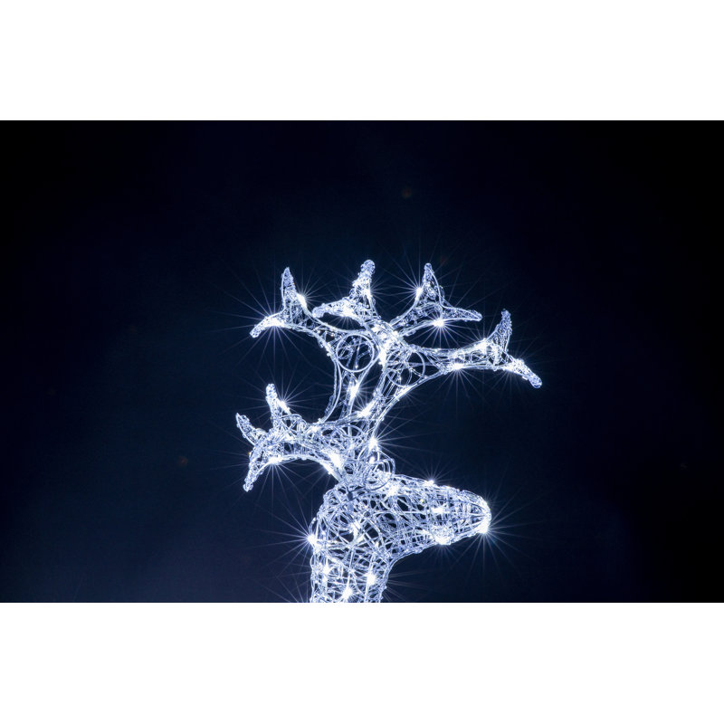 Cerf en acrylique DEL 4 pi blanc froid effet clignotant transparent Fil