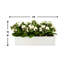 Arrangement Kallas Kalanchoe en pot de fibres-485264739-504900991