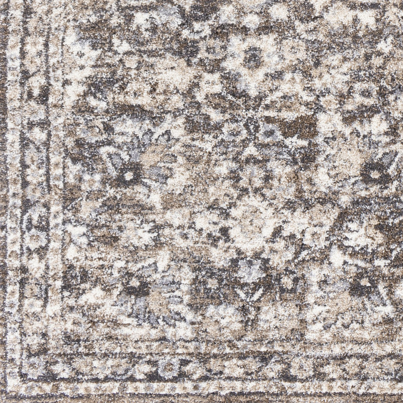 Evelien Oriental Indoor Rug, Rectangle 9' x 12'1"
