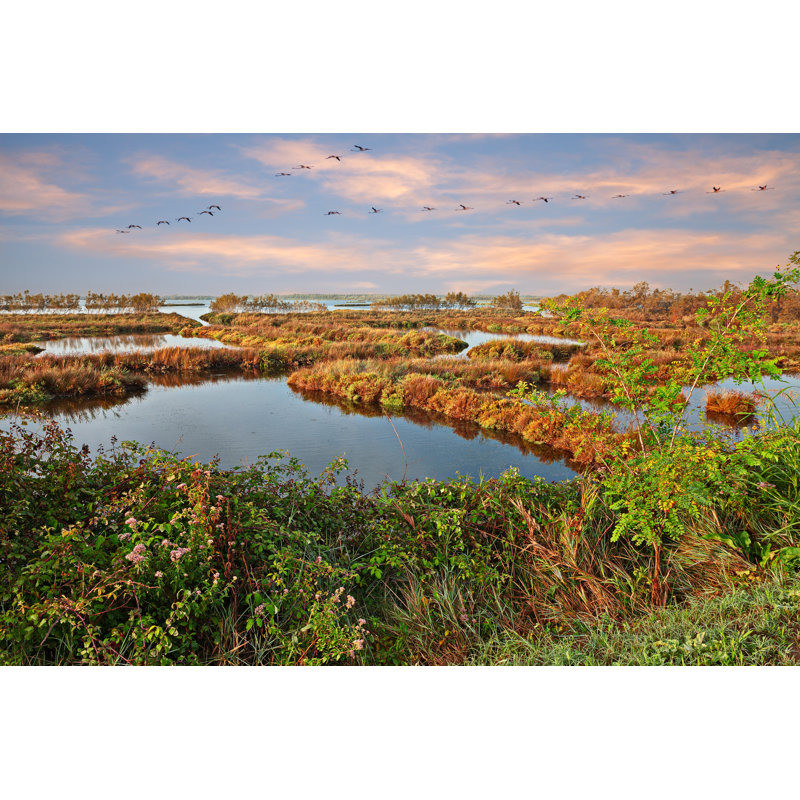 Senora Po Delta Park, Veneto 1 Piece Wrapped Canvas Wall Art, 51cm H x 76cm W x 3.8cm D