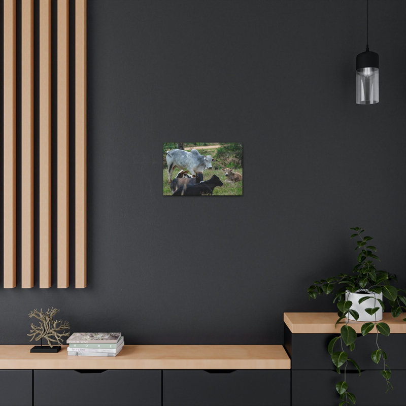 «Zebu Group Zebu Troop Print», art mural, H 12 po x l 18 po