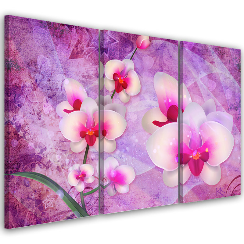 Orchid Blossom - 3 Piece No Frame Print on Canvas, 80cm H x 120cm W