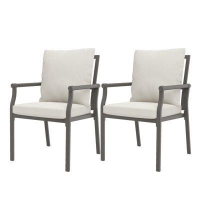 Mcallister 2-Piece Metal Patio Dining Chairs With Beige Cushions