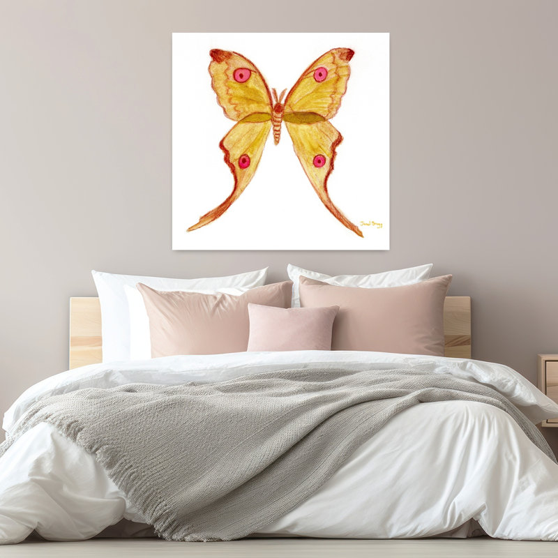 Contemporary Art Colorful Delicate Vibrant Fly Moth Wall Art by Janel Bragg - Wrapped Canvas Print, 81.28 cm H x 81.28 cm W