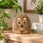 Stone Age Creations 8" Boulder Cat