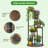 Havya Round Multi-Tiered Plant Stand-1723322400