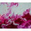 Floral Lattice Painting