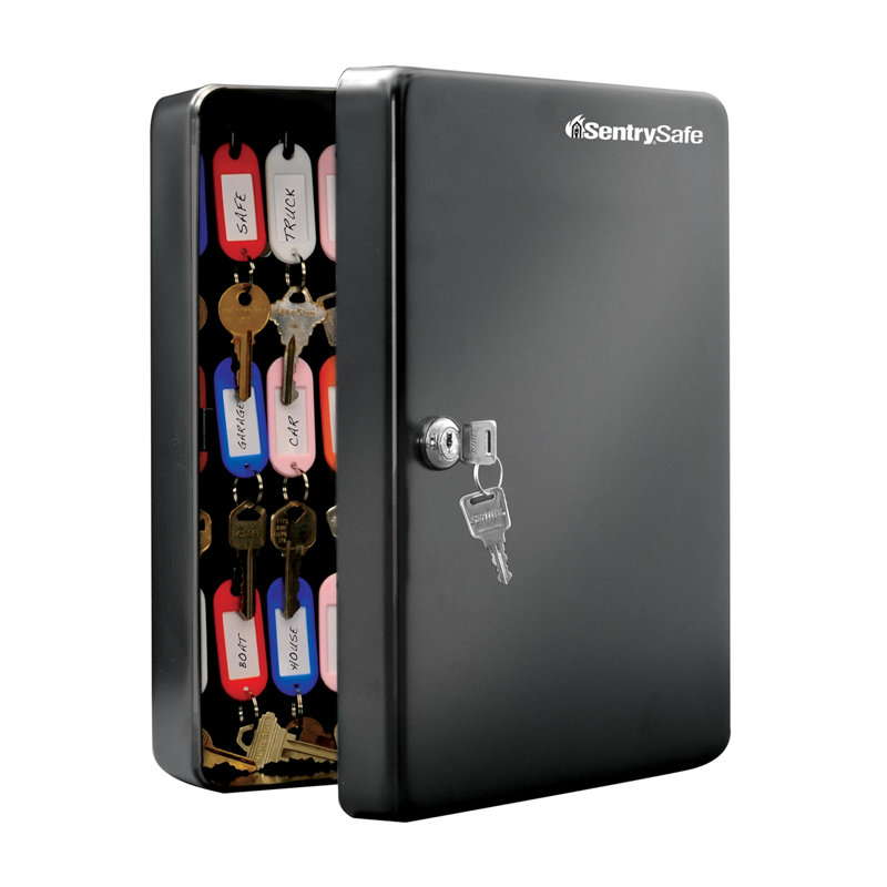 SentrySafe Key Cabinet with Key Lock, 11.8" H x 9.4" W x 3.9" D