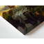 "Firefly Forest Fairy", lecture d'art sur toile, "Spirit on Mossy Branch"-558589472