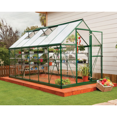 Hybrid 6 Ft W x 12 Ft D Hobby Greenhouse