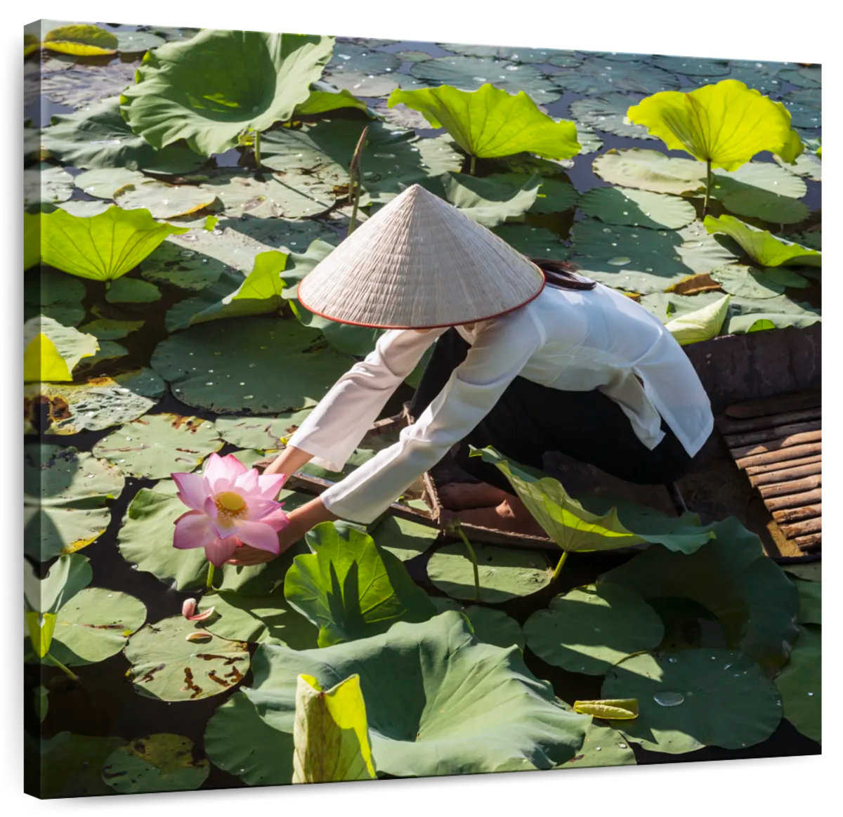 Image result for Lark Manor Leisha Vietnam Lotus Picking - Wayfair Canada