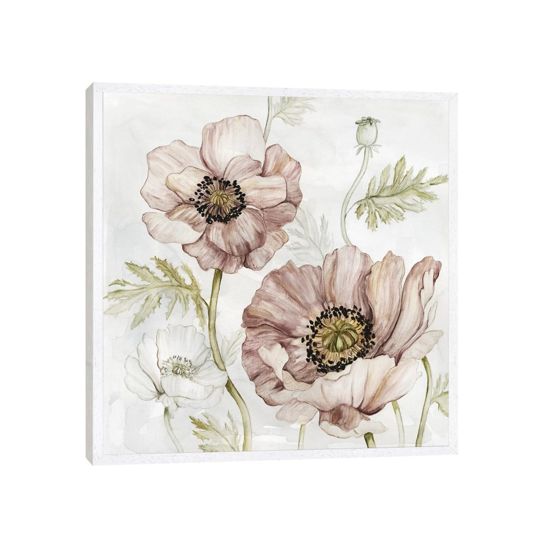 Washed Botanical IV by Carol Robinson - Graphic Art Print on Canvas