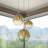 Tanyah 3 - Light Dimmable Globe Chandelier