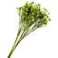 15" Plastic Gypsophila Bush-1166490789