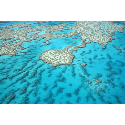 Great barrier reef