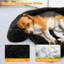 Arrigo Pet Bed-2072489069-2072489074
