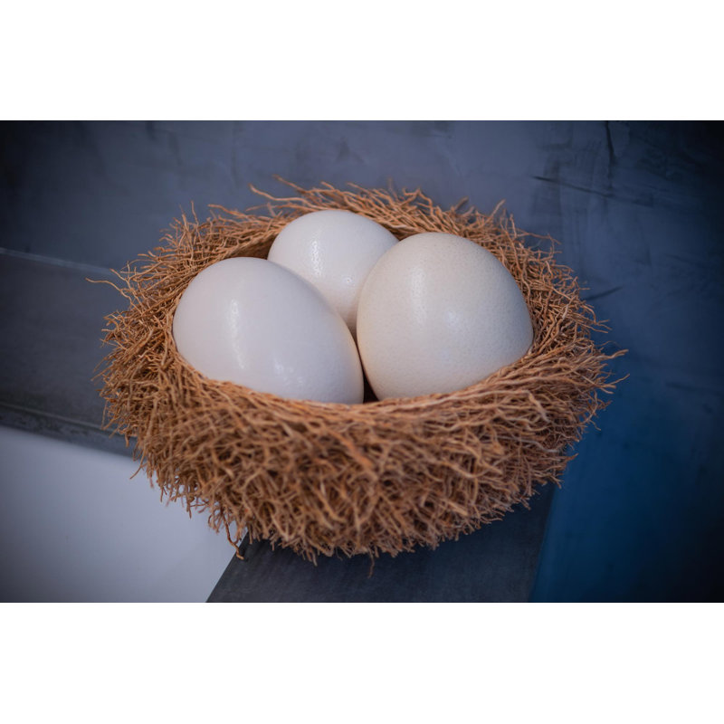 Genuine Egg