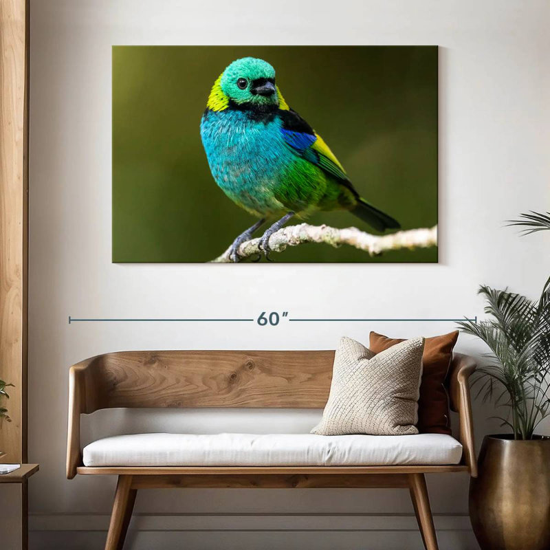 Brampt Green Headed Tanager, 32" H x 48" W