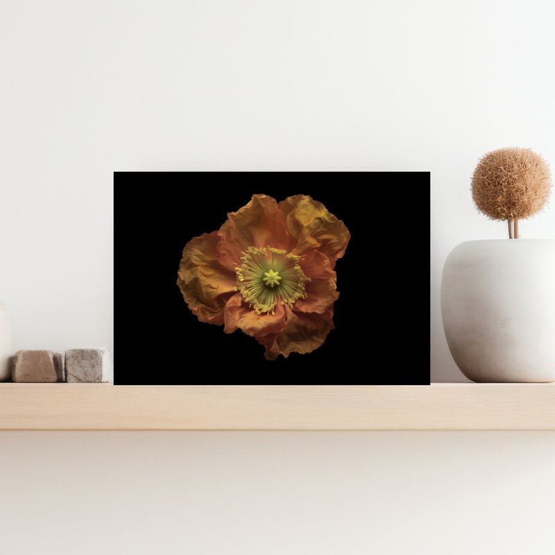 Art contemporain abstrait coquelicot, H 12 po x l 18 po