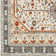 Aldusa Oriental Indoor Rug