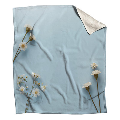 White Daisies On Blue Blankets