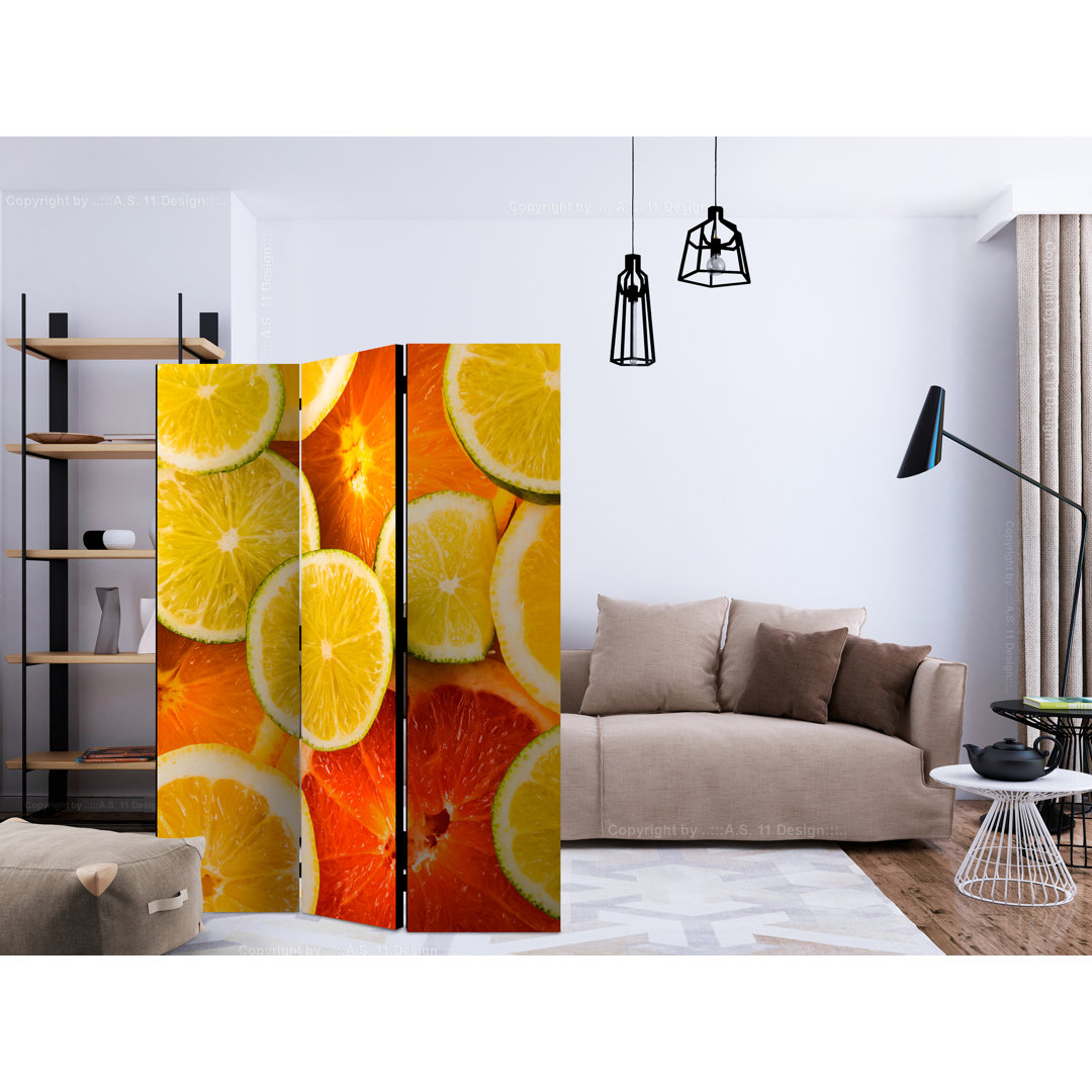 Room Divider - Citrus Fruits [Room Dividers]
