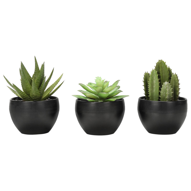 6 po de hauteur en faux plantes grasses décoratives de 3 pots noirs, verdure intérieure pour tables et surfaces planes, décor de plantes artificielles en pot noir, décor de table, plastique artificiel