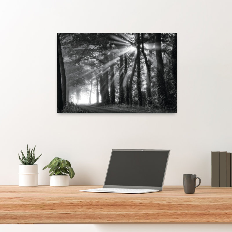 Amazing Rays 1 Piece Wrapped Canvas Wall Art, 40.64cm H x 60.96cm W