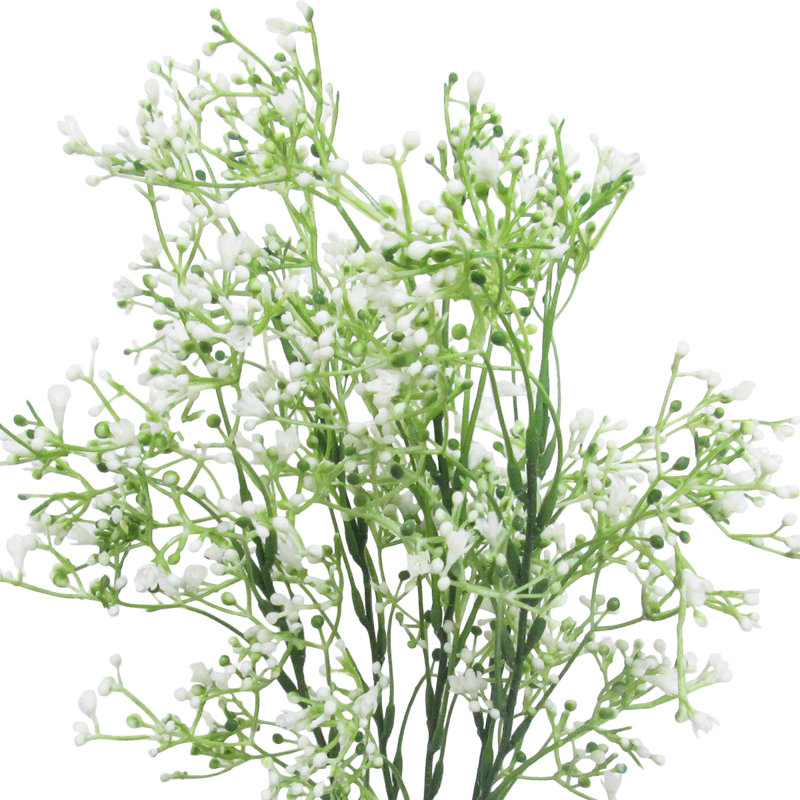Arrangement floral Gipsophila