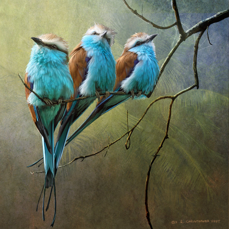 " Rollers " Painting Print, 12" H x 12" W x 1.25" D