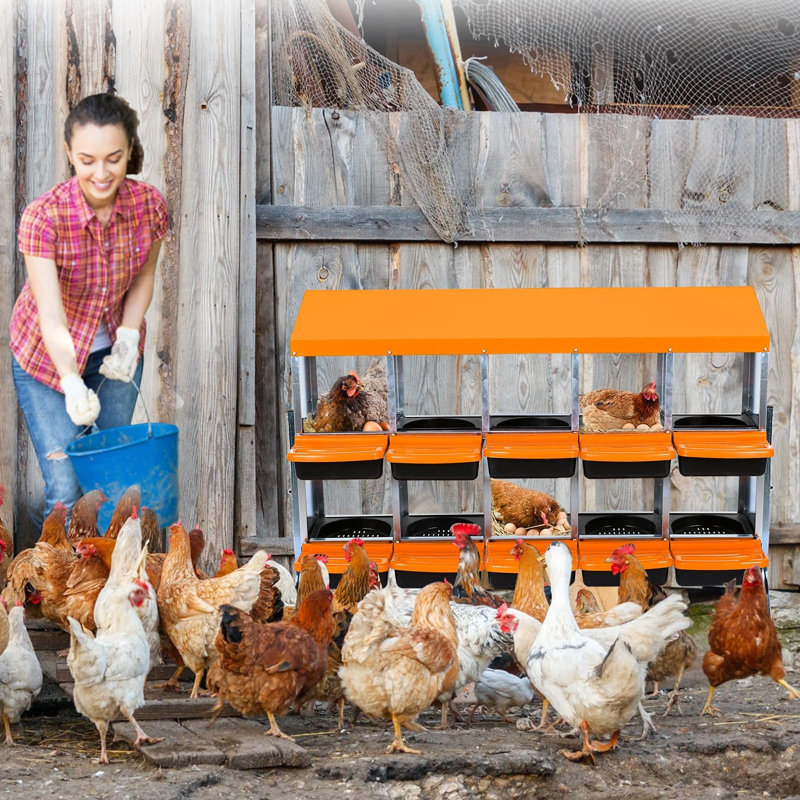 Boîtes de nidification à poulets 6/8/10