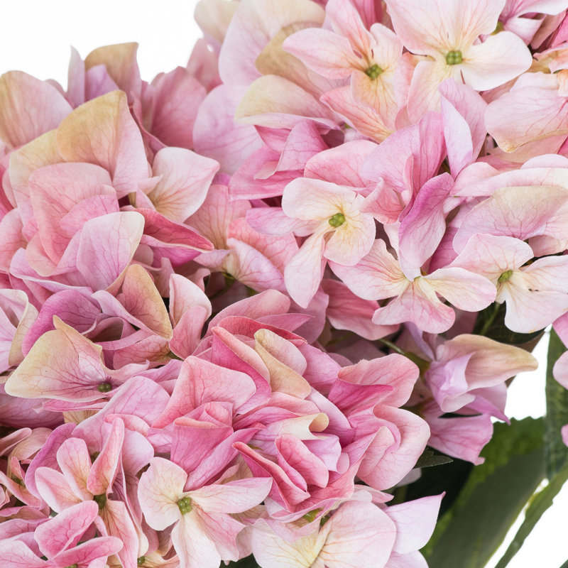 Hydrangea Arrangement, Pink