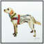 «Apphia Yellow Lab» par Alex Zeng, reproduction d'art encadrée sur verre