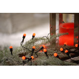 LED Indoor / Outdoor String Lights