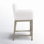 Bethea Counter Stool with Arms-98501973
