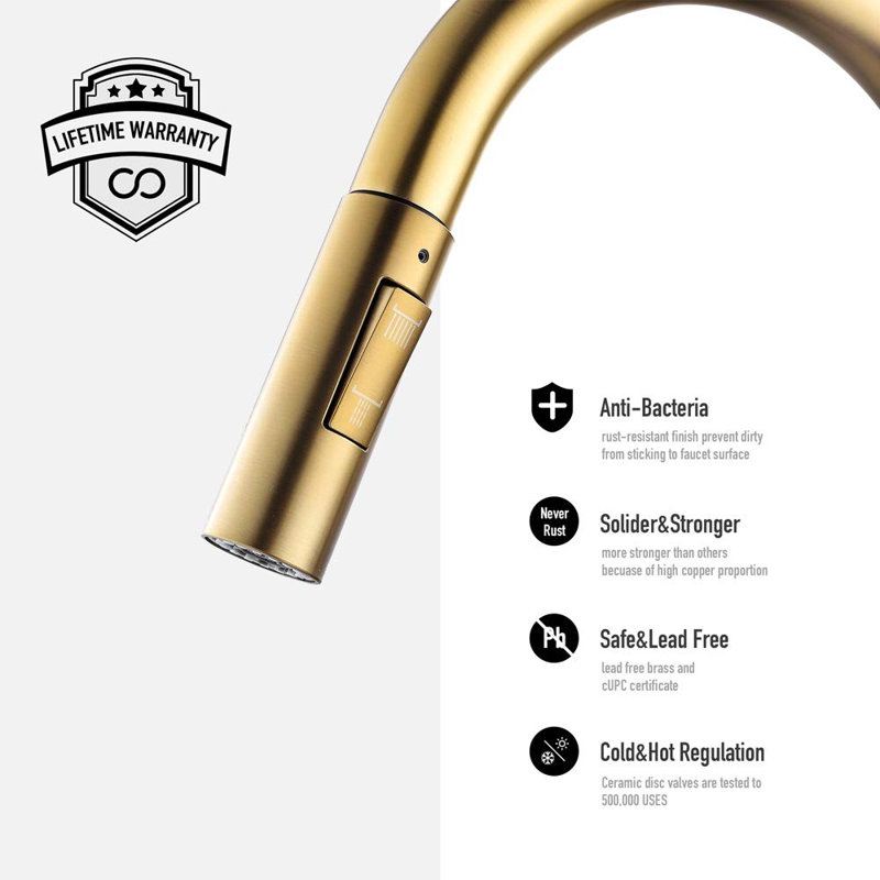 XWSI Pull Down Kitchen Faucet