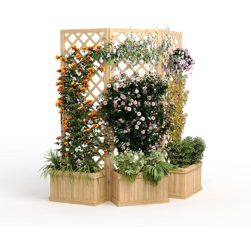 Cedar Freestanding Privacy Screen with Planter Boxes – 3 Hinged Panels, Drain Holes, Trellis for Climbing Plants | Outdoor Fence for Patio, Deck & Backyard