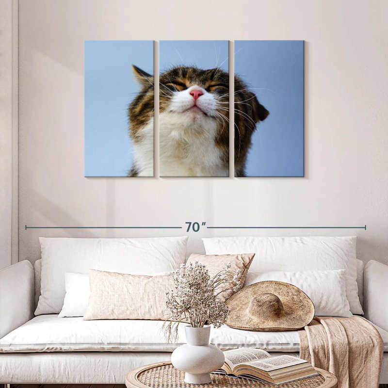 Chat raflé Brampt, H 28 po x l 45 po