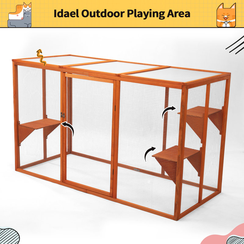 Cat Cage