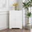 Floor Corner Cabinet With 2 Doors And Adjustable Shelves