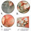 Rose et gris, hortensia, campagne charmante II, impression d'art mural hortensia-962158434-962158435