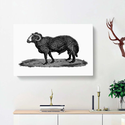 Sheep Illustration - Wrapped Canvas Print