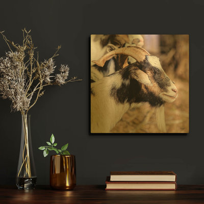 «Bearied Side Goat» par Donnie Quillen, art mural en métal doré, 12 po x 12 po